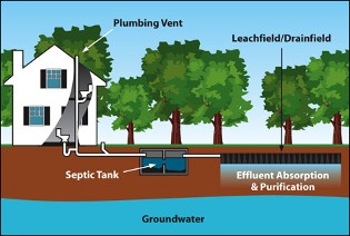 Typical Septic Components